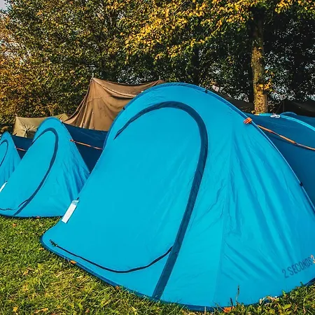 营地 Festanation Kingsday Camp *