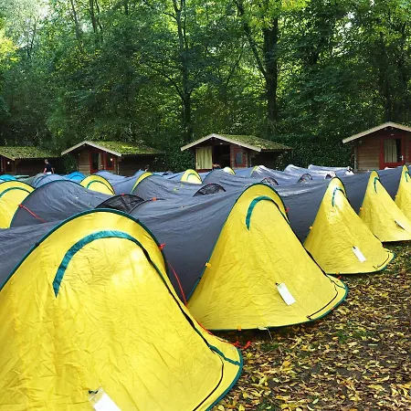 Festanation Kingsday Camp *