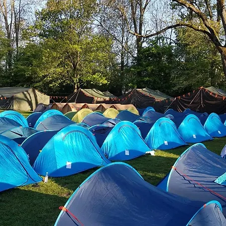 Kemp Festanation Kingsday Camp